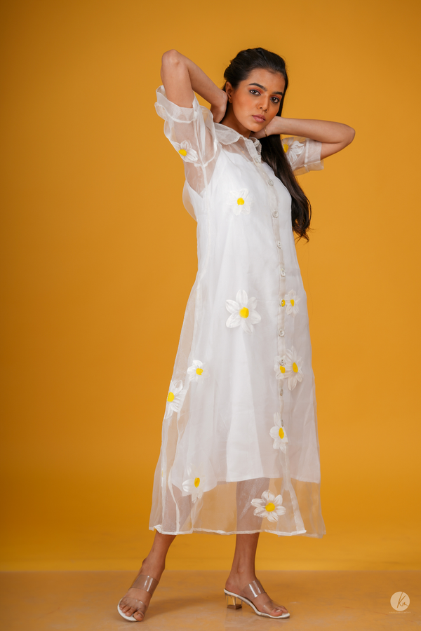 Daisy Shirt Dress